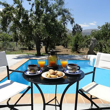 Villa Zeus House